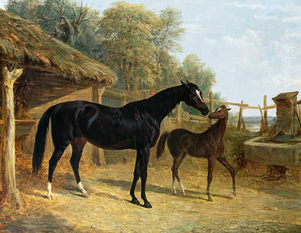 Levity, the property of J.C.Cockerill Esq., with her foal Queen Elizabeth, the property of Lord Dorc a John Frederick Herring Il Vecchio