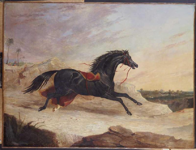 Araber jagen ein ausgerissenes arabisches Pferd a John Frederick Herring Il Vecchio
