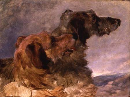 Two Deerhounds a John Frederick Herring Il Vecchio