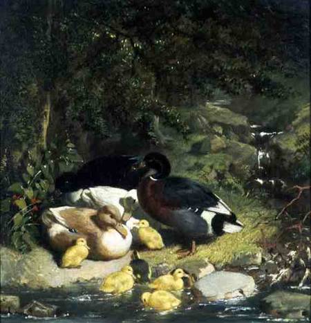 Ducks and Ducklings a John Frederick Herring Il Vecchio