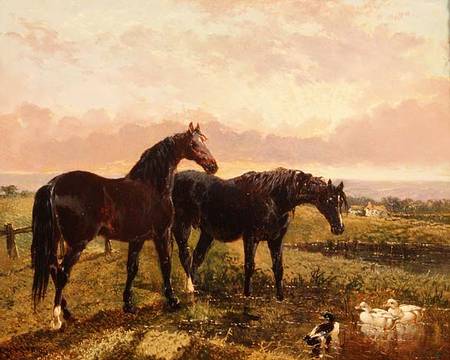 Two horses grazing at sunset a John Frederick Herring Il Vecchio