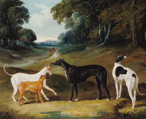 Greyhounds, 'Spot', 'Skylark', 'Nettle' and 'Sky' a John Frederick Herring Il Vecchio