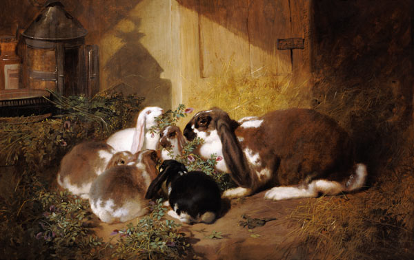 Rabbit family a John Frederick Herring Il Vecchio