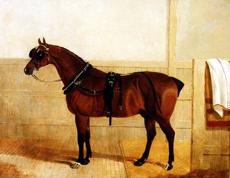 Prize Shire Horse in Harness a John Frederick Herring Il Vecchio