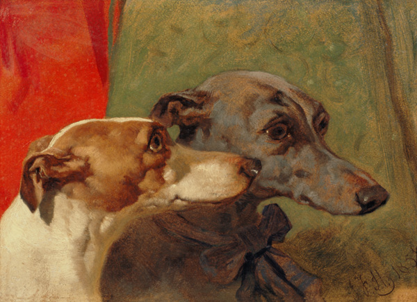 The Greyhounds 'Charley' and 'Jimmy' in an Interior a John Frederick Herring Il Vecchio