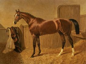 'Orlando' Winner of the Derby in 1844
