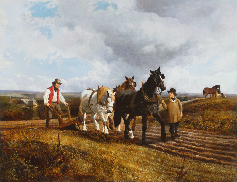 Ploughing a John Frederick Herring il Giovane