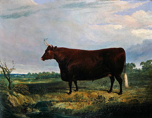 Portrait of a Brown Bull, 1831 (oil on canvas) a John Frederick Herring Snr