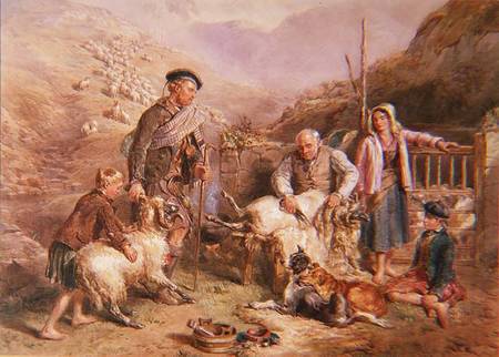 Sheep Shearing a John Frederick Tayler