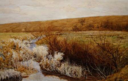 A Meadow in Winter a John George Sowerby