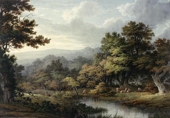 Forest Glade with Pool and Deer (w/c on paper) a John Glover