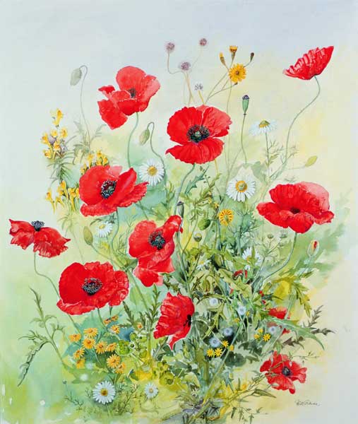 Poppies and Mayweed  a John  Gubbins