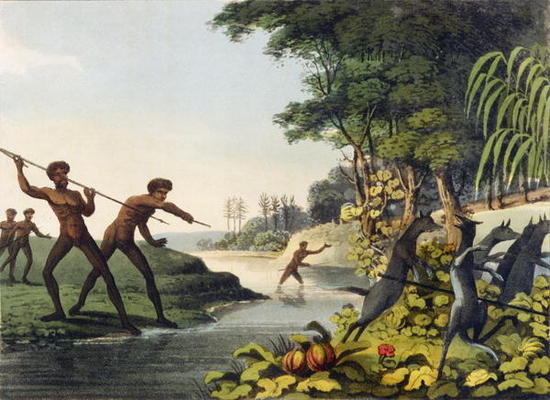 Hunting the Kangaroo, aborigines in New South Wales engraved by Matthew Dubourg (fl.1813-1820) 1813 a John Heaviside Clark