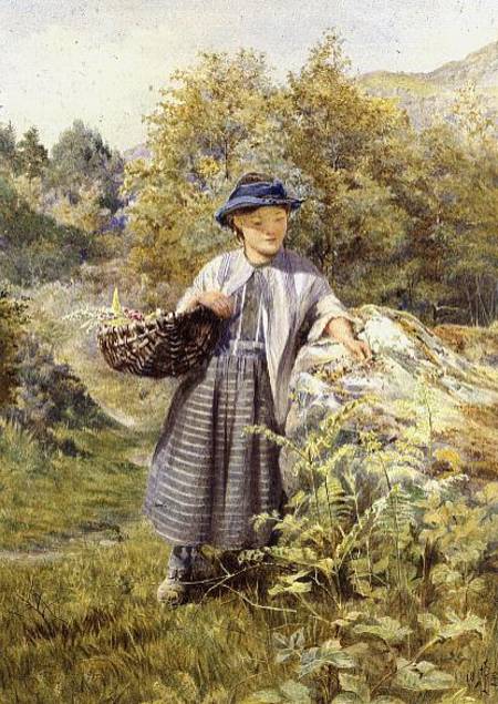 The Young Herbalist a John Isaac Richardson