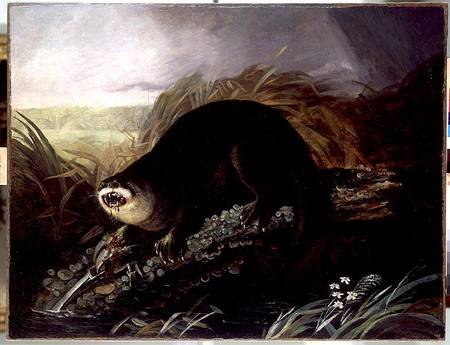 Otter Caught in a Trap a John James Audubon