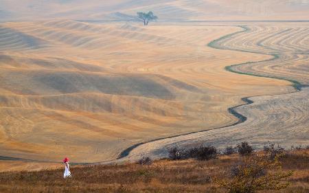 The Curve at Wheatfield