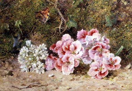 Butterfly and Flowers a John Jessop Hardwick
