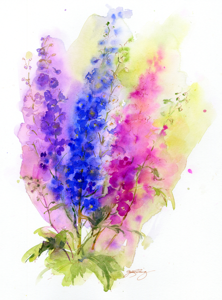 Delphinium a John Keeling