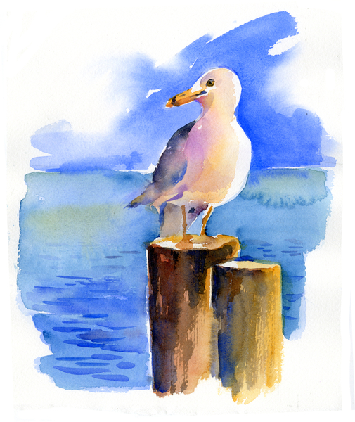 Seagull on dock a John Keeling