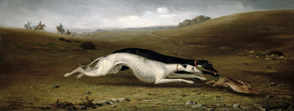 Hare Coursing in a Landscape a John Marshall