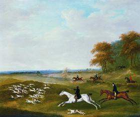 Caccia a cavallo con cani