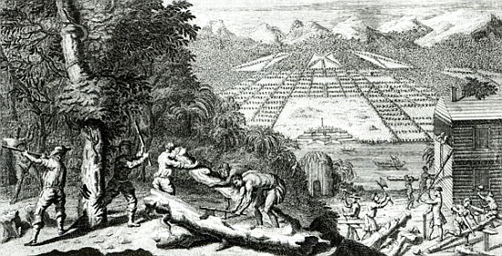 Illustration from ''The Reasons for establishing the Colony of Georgia'' Benjamin Martyn (1699-1763) a John Pine