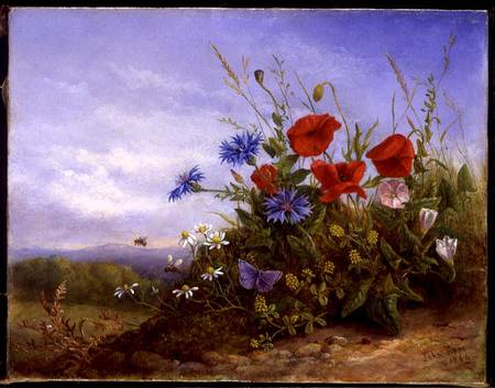 Wild Flowers on a Bank a John Rees