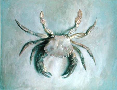 Velvet Crab a John Ruskin
