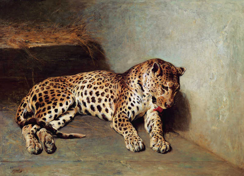 The Leopard a John Sargent Noble