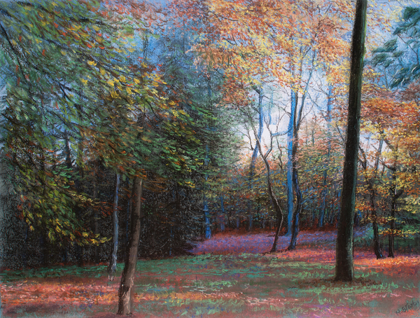 Autumn in the Woods a John Starkey