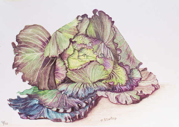 Cabbage a John Starkey