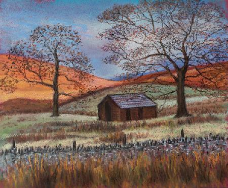 Shepherds hut in wilds