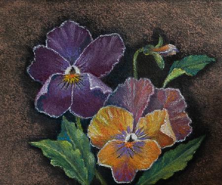 Three Pansies