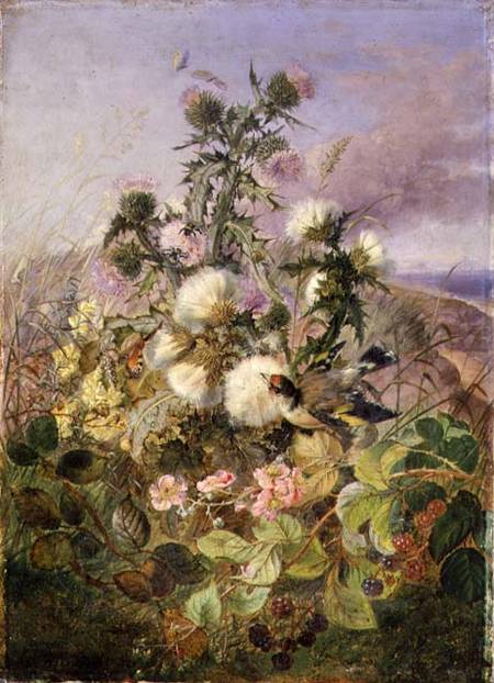 A Goldfinch and a Butterfly amongst Thistles and Blackberry Blossom a John Wainwright