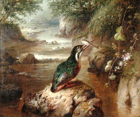 The Haunt of the Kingfisher a John Wainwright