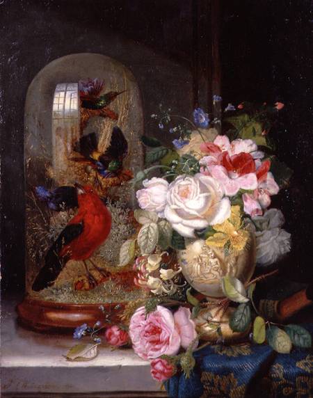A Still Life with Roses in a Vase beside Exotic Birds in a Glass Case a John Wainwright