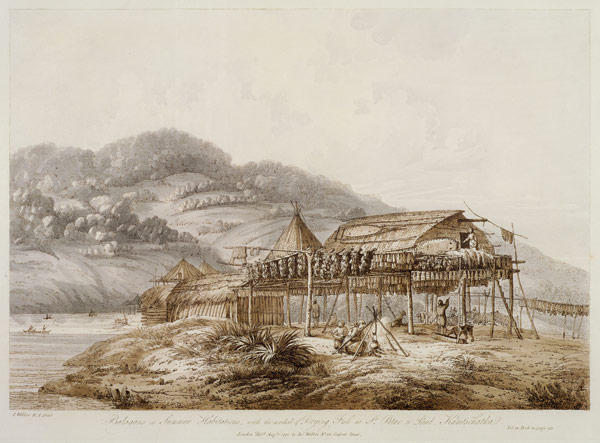 Balagans or Summer Habitations, with the Method of Drying Fish at St. Peter and Paul, Kamtschatka, f a John Webber