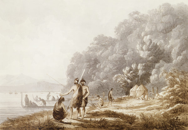 View in Queen Charlotte's Sound, New Zealand, from 'Views in the South Seas', pub. 1790 (etching) a John Webber
