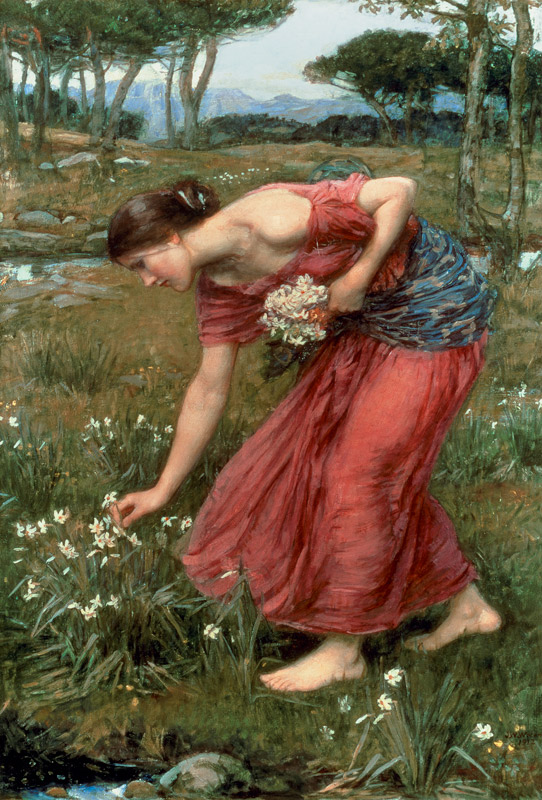 Narcissus a John William Waterhouse
