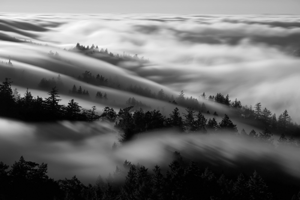 Bathing in the fog a Johnny Zhang