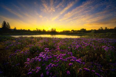 Golden Pond