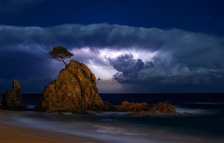 A Storm Behind the Pine