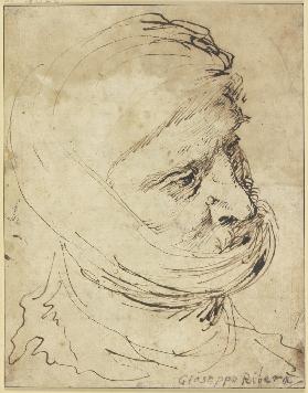 Head of a Man with cloth Headdress