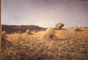 Harvesting near Amberley, Sussex