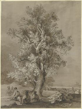 Old tree with camping men