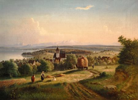 Grain harvest at Allmannsdorf