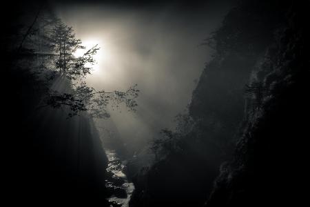 light in the canyon