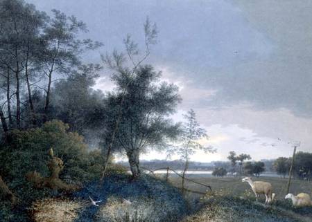 Landscape with a fox chasing geese a Joseph August Knip