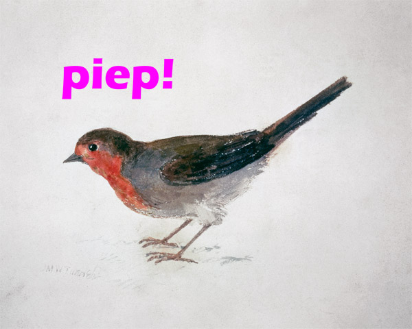 Robin, from The Farnley Book of Birds  - "piep!" a William Turner