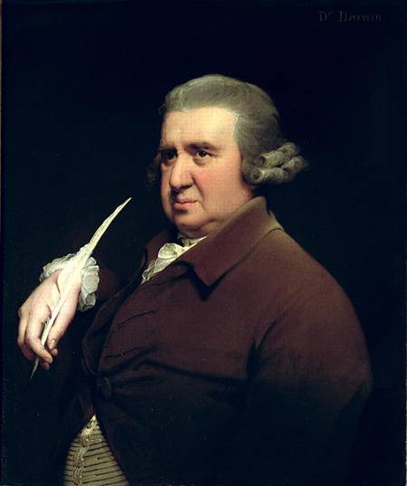 Portrait of Dr Erasmus Darwin (1731-1802) scientist, inventor and poet, grandfather of Charles Darwi a Joseph Wright of Derby
